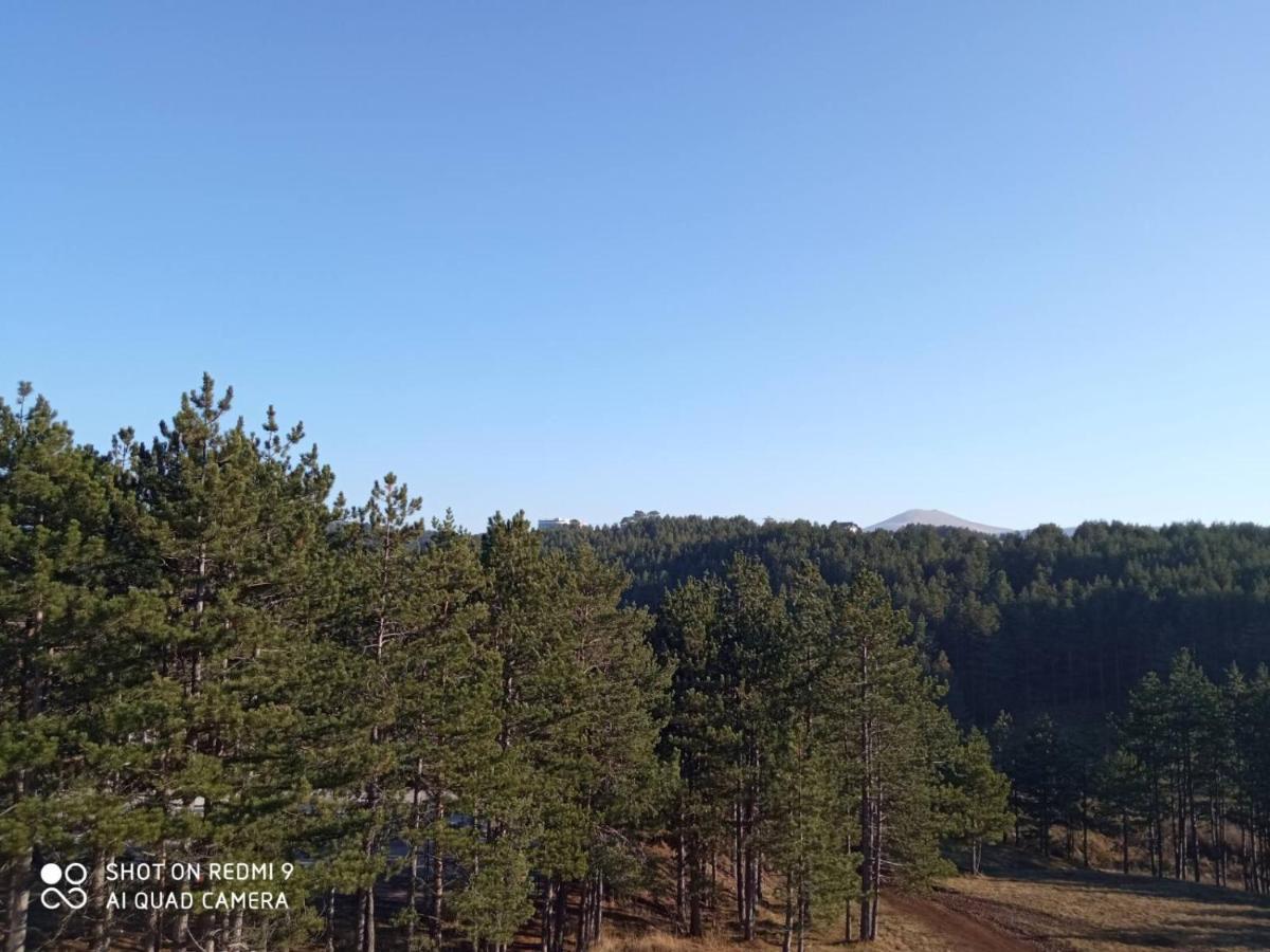 Nideho Estate Apartmani Zlatibor Esterno foto